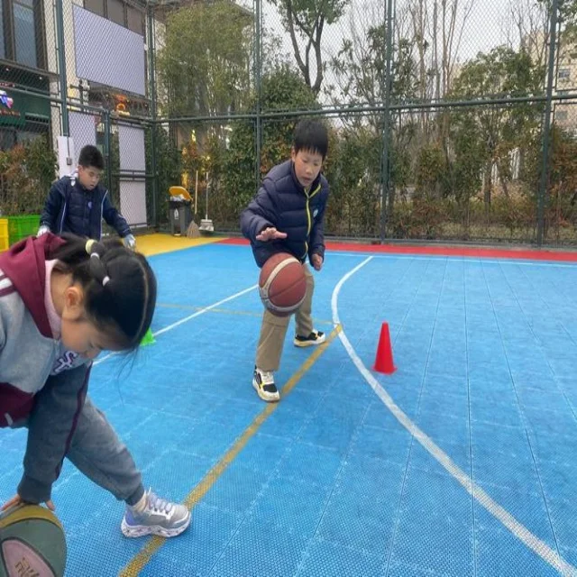 李诗沣夺冠之路：年轻羽球新星的崛起故事